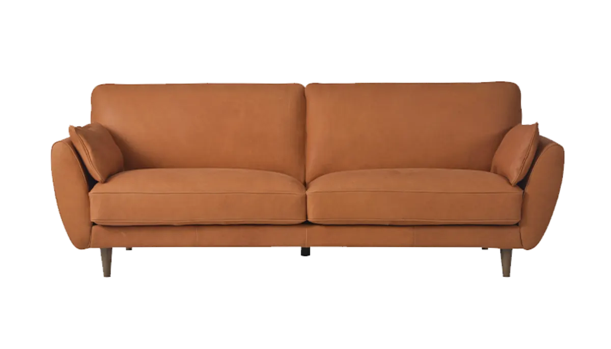 Tan leather sofa